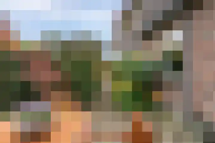 Twijnmeer 3 Gemonde thumbnail 24