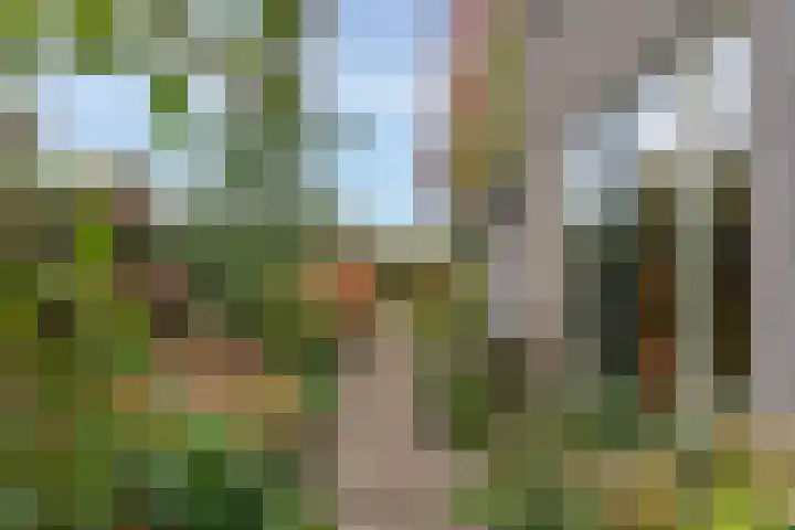 Twijnmeer 3 Gemonde thumbnail 27