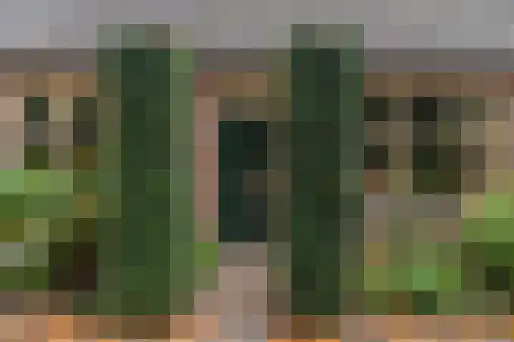Twijnmeer 3 Gemonde thumbnail 29