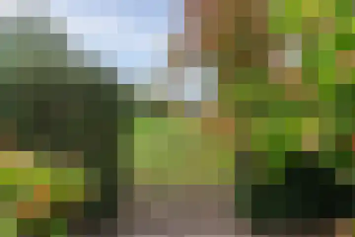 Twijnmeer 3 Gemonde thumbnail 33