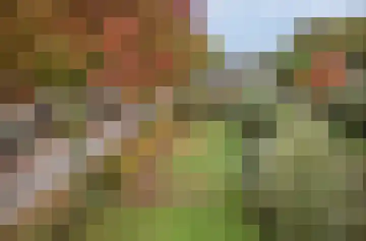 Twijnmeer 3 Gemonde thumbnail 34