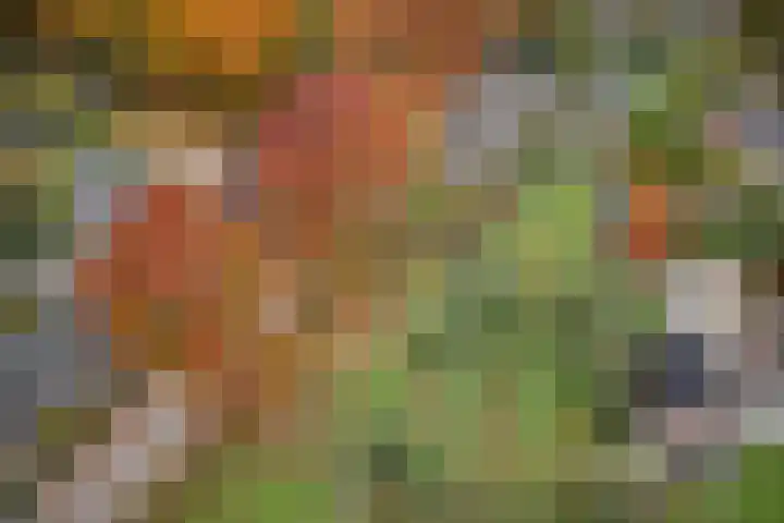 Twijnmeer 3 Gemonde thumbnail 37