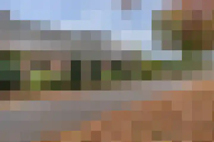 Twijnmeer 3 Gemonde thumbnail 38