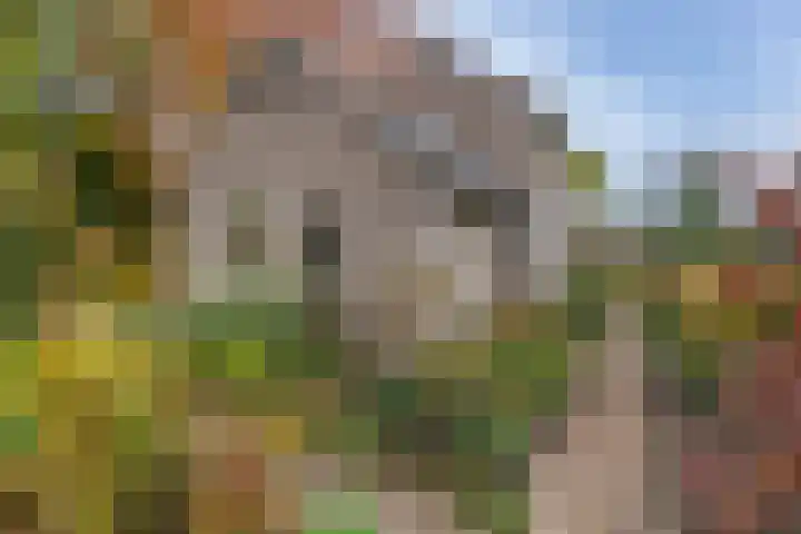 Twijnmeer 3 Gemonde thumbnail 4