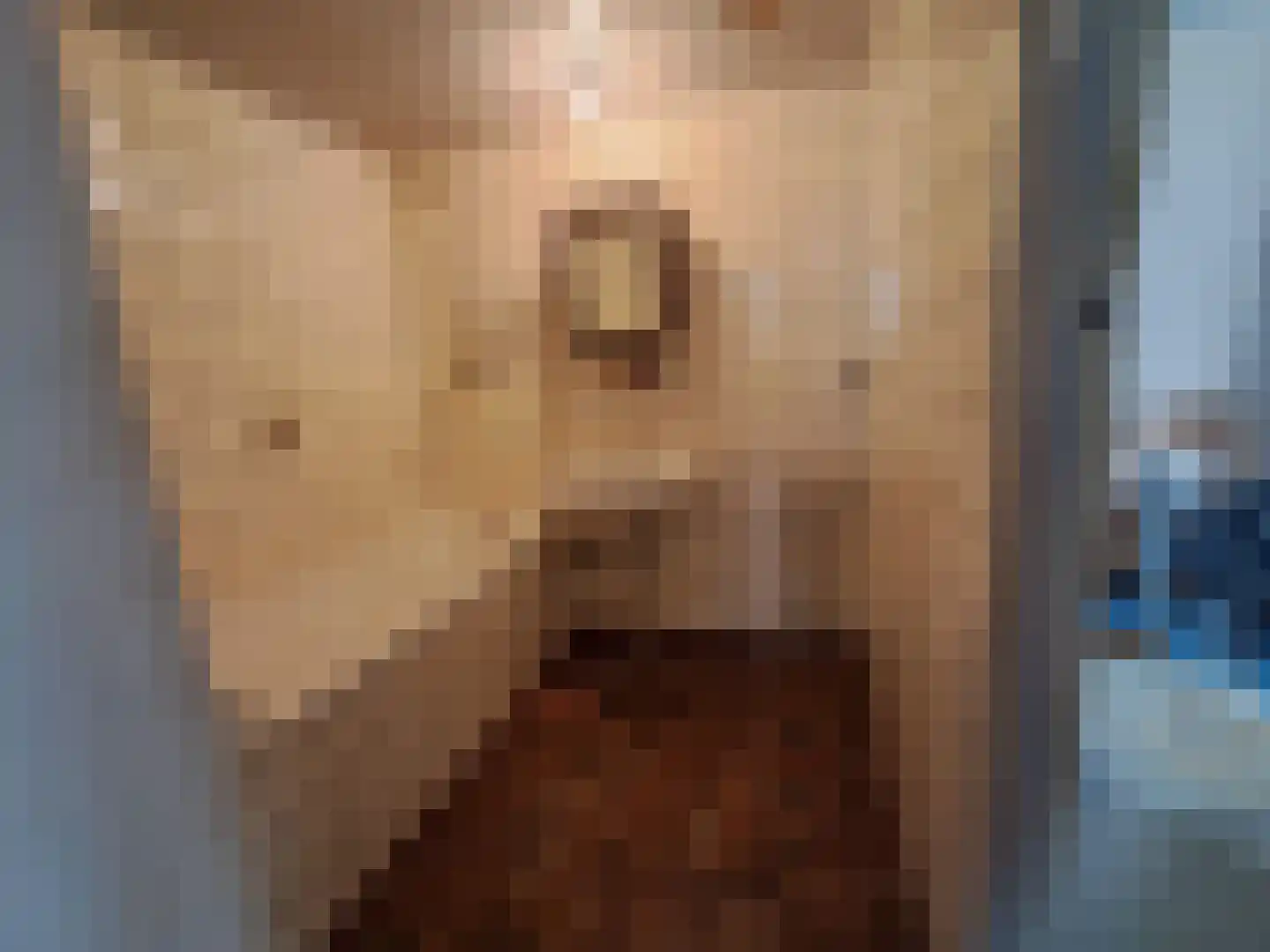 Twijnmeer 48 Gemonde thumbnail 13