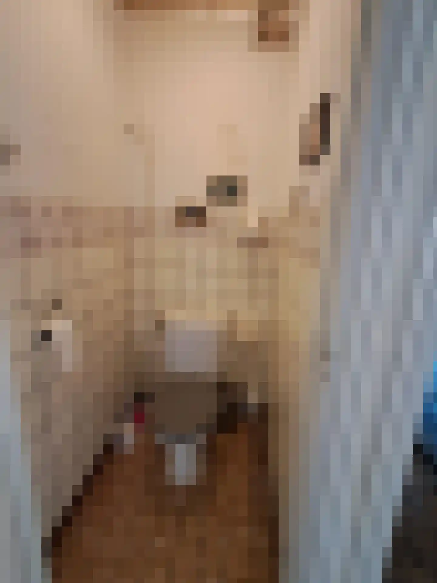 Twijnmeer 48 Gemonde thumbnail 5