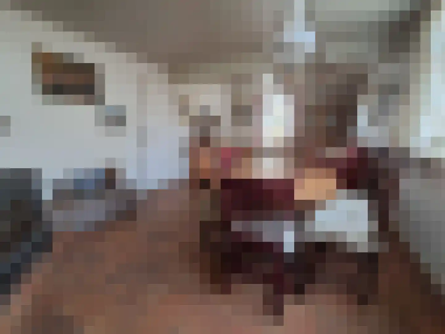Twijnmeer 48 Gemonde thumbnail 7