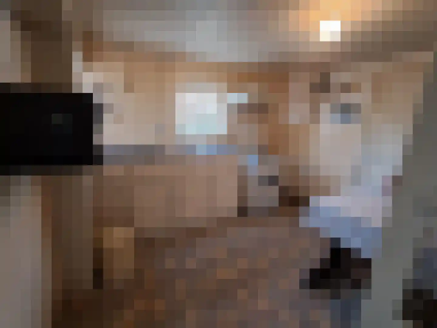 Twijnmeer 48 Gemonde thumbnail 8