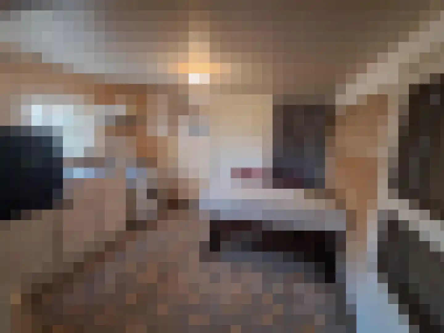Twijnmeer 48 Gemonde thumbnail 9