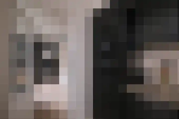 Twijnspil 19 Wierden thumbnail 13