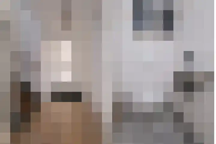 Twijnspil 19 Wierden thumbnail 17
