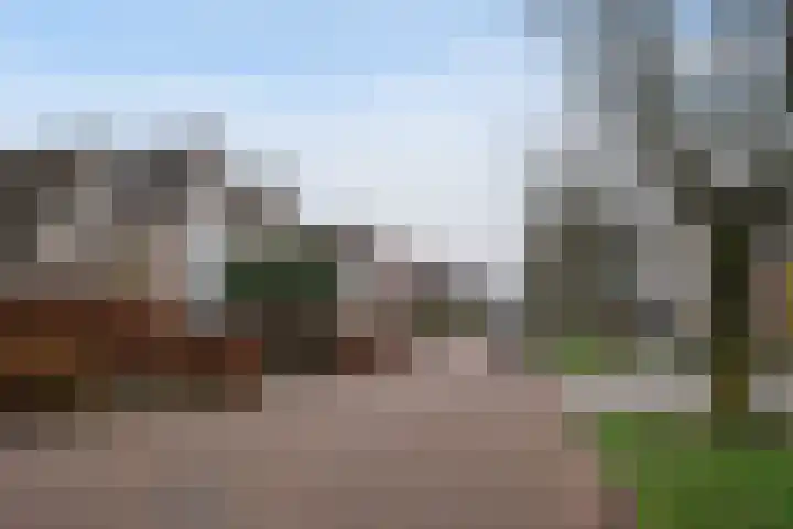 Twijnspil 19 Wierden foto 2