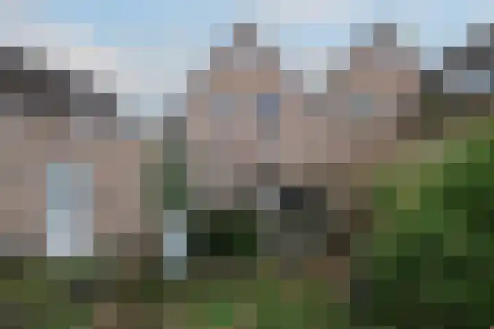 Twijnspil 19 Wierden foto 3