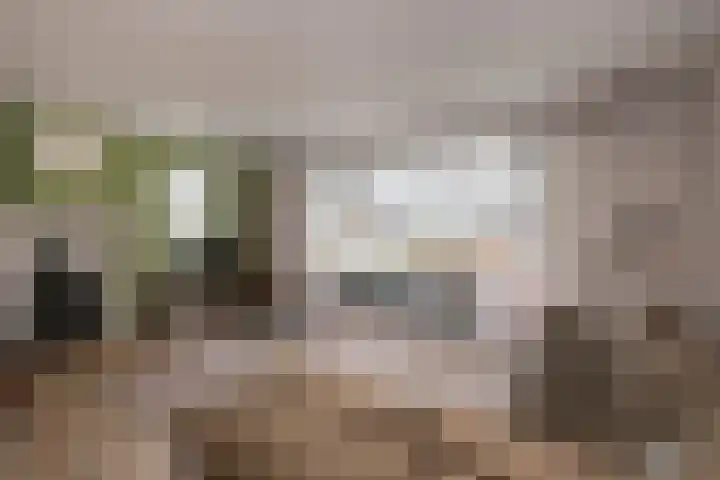 Twijnspil 19 Wierden thumbnail 4
