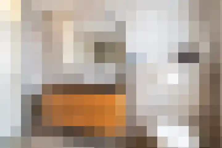 Twijnspil 40 Wierden thumbnail 23