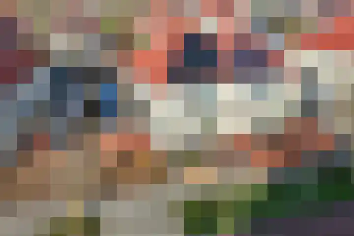 Twijnspil 40 Wierden thumbnail 44