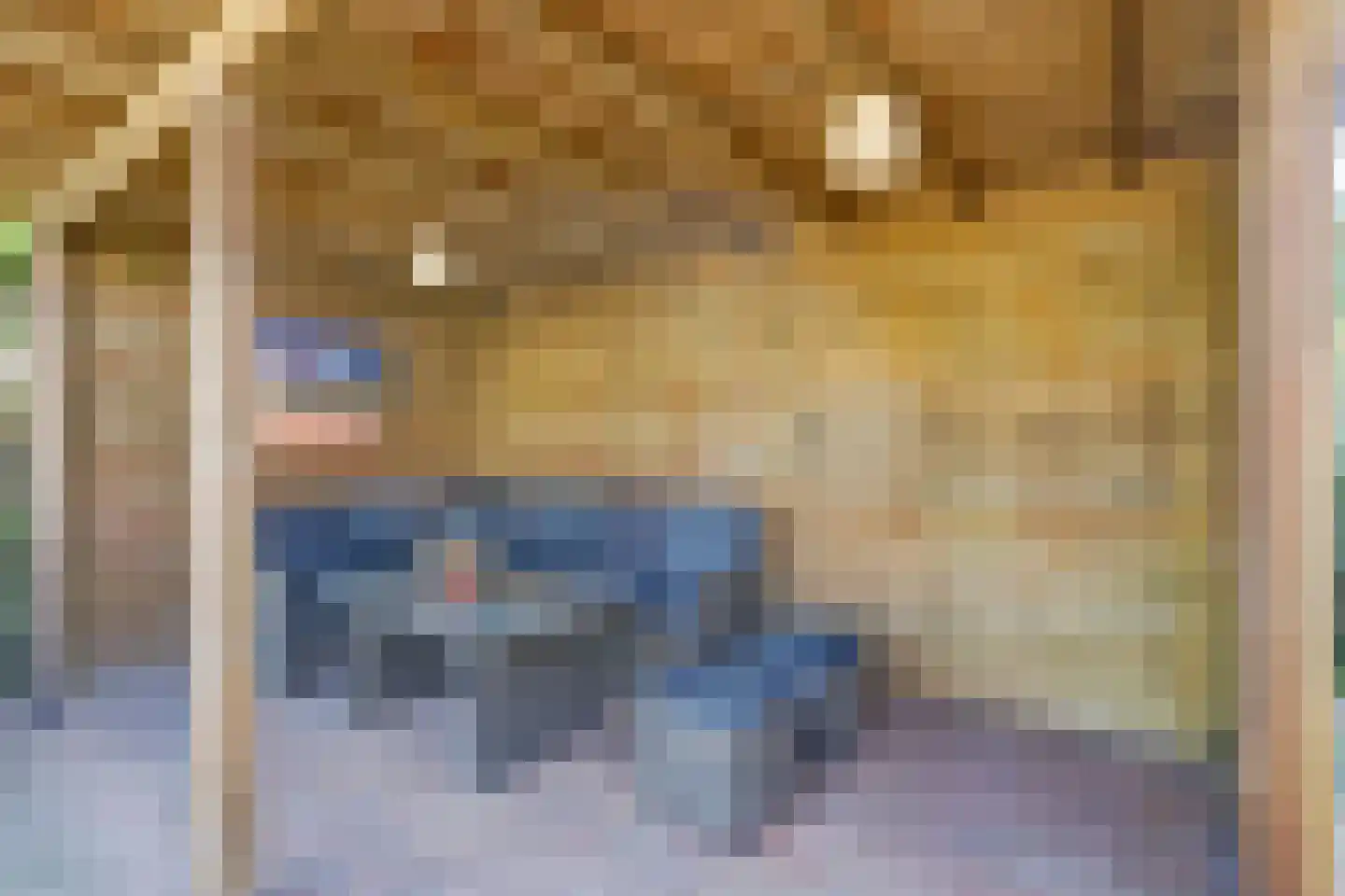 Twijnspil 42 Wierden thumbnail 38