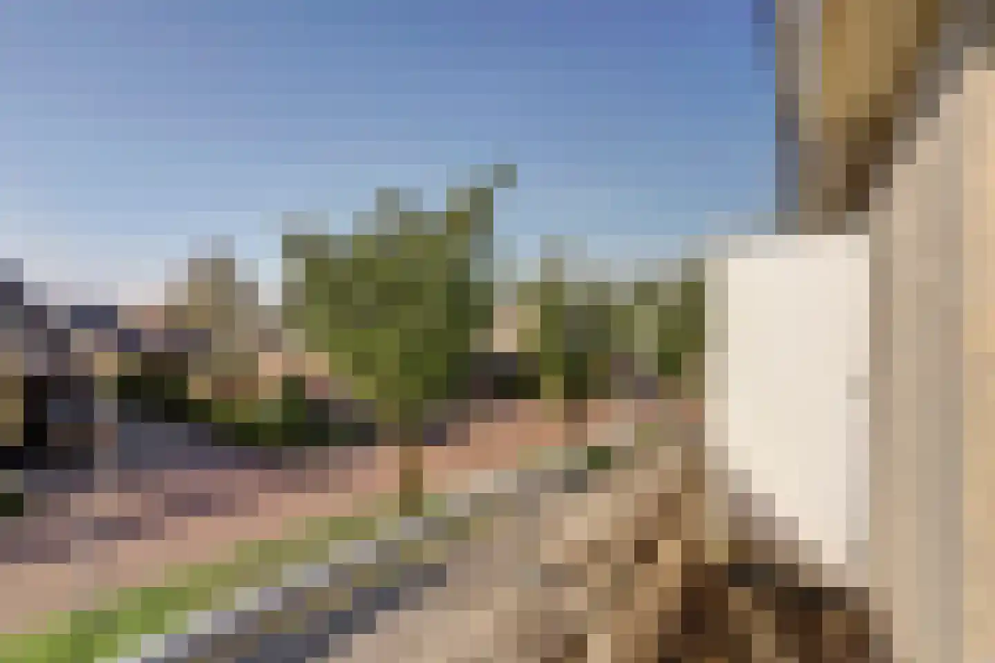 Twijnspil 42 Wierden thumbnail 40