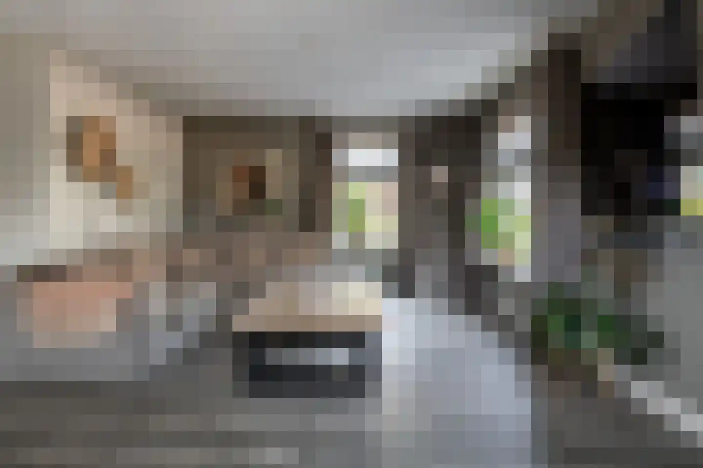 Twijnspil 65 Wierden thumbnail 10