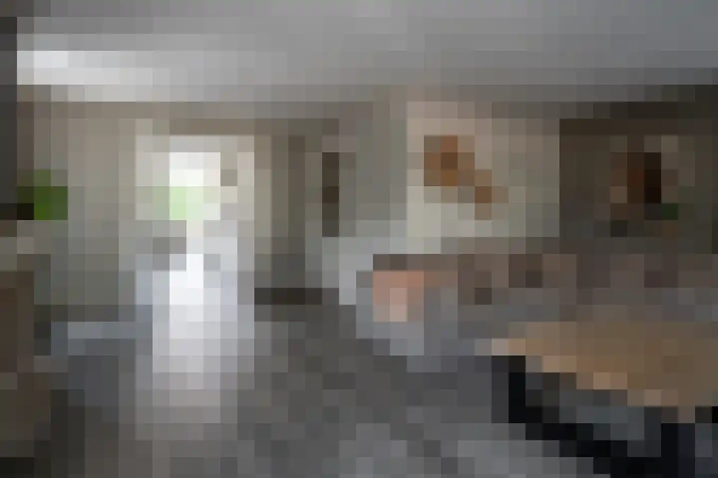 Twijnspil 65 Wierden thumbnail 12
