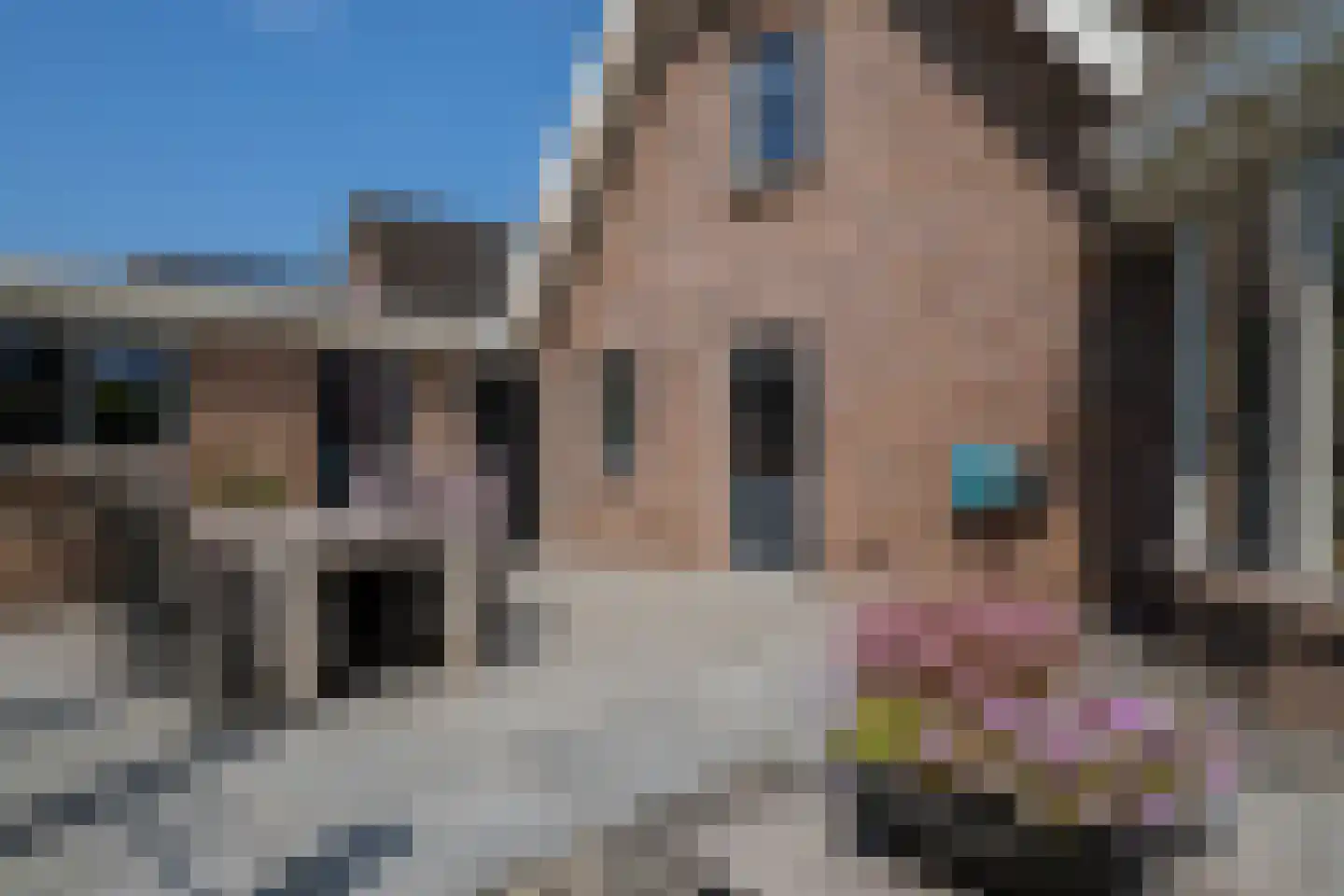 Twijnspil 65 Wierden thumbnail 33