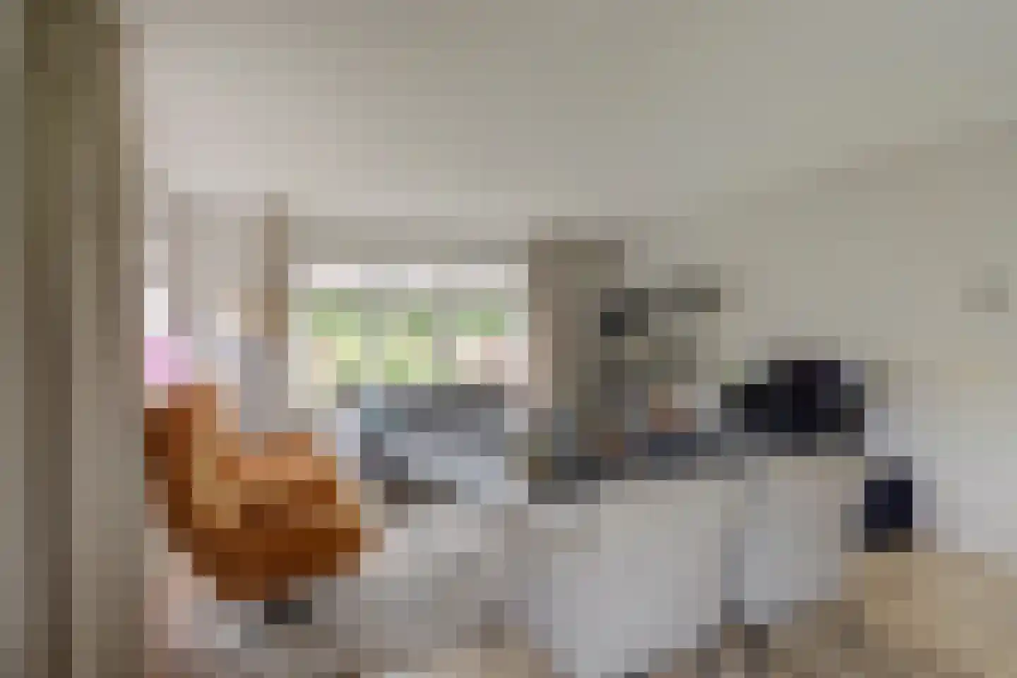 Twijnspil 69 Wierden thumbnail 10