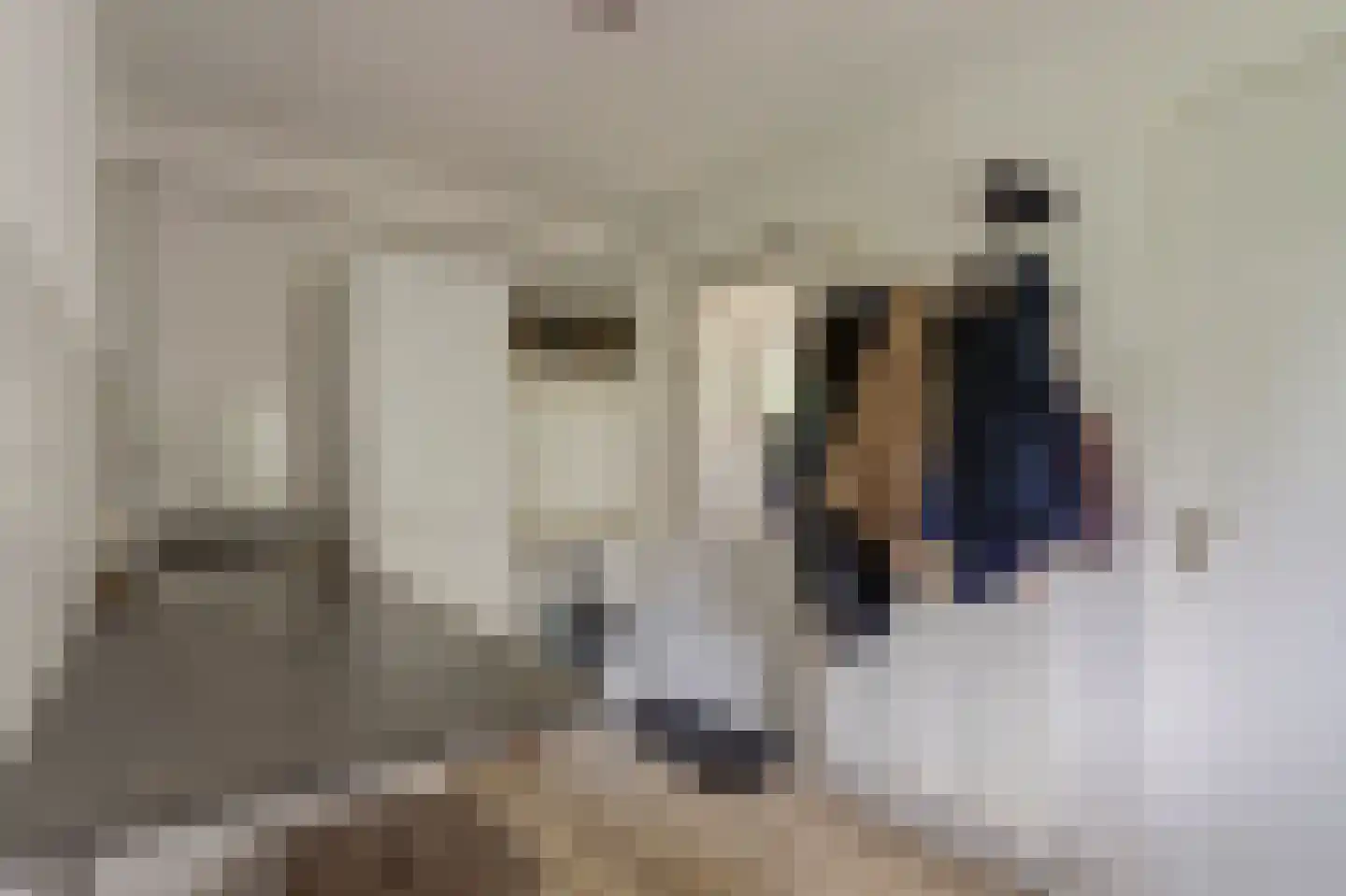 Twijnspil 69 Wierden thumbnail 14
