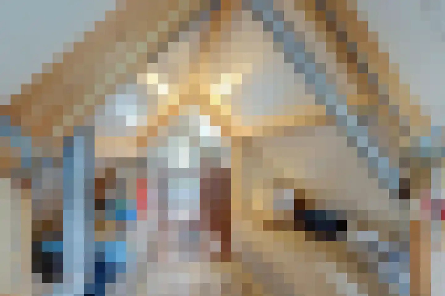 Twijnspil 69 Wierden thumbnail 29