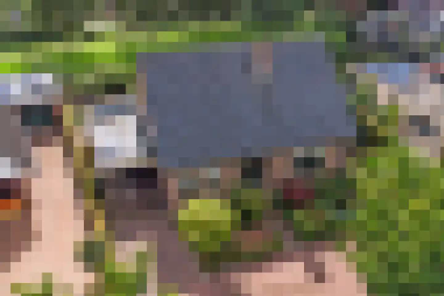 Twijnspil 69 Wierden thumbnail 43