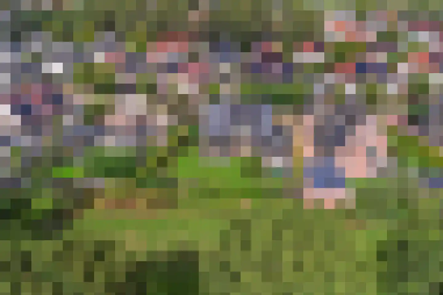 Twijnspil 69 Wierden thumbnail 45