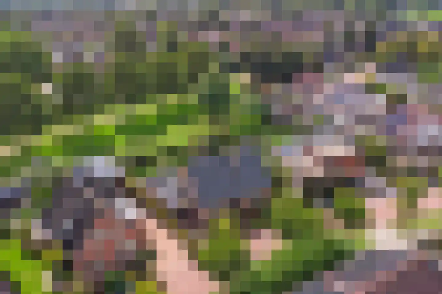 Twijnspil 69 Wierden thumbnail 46