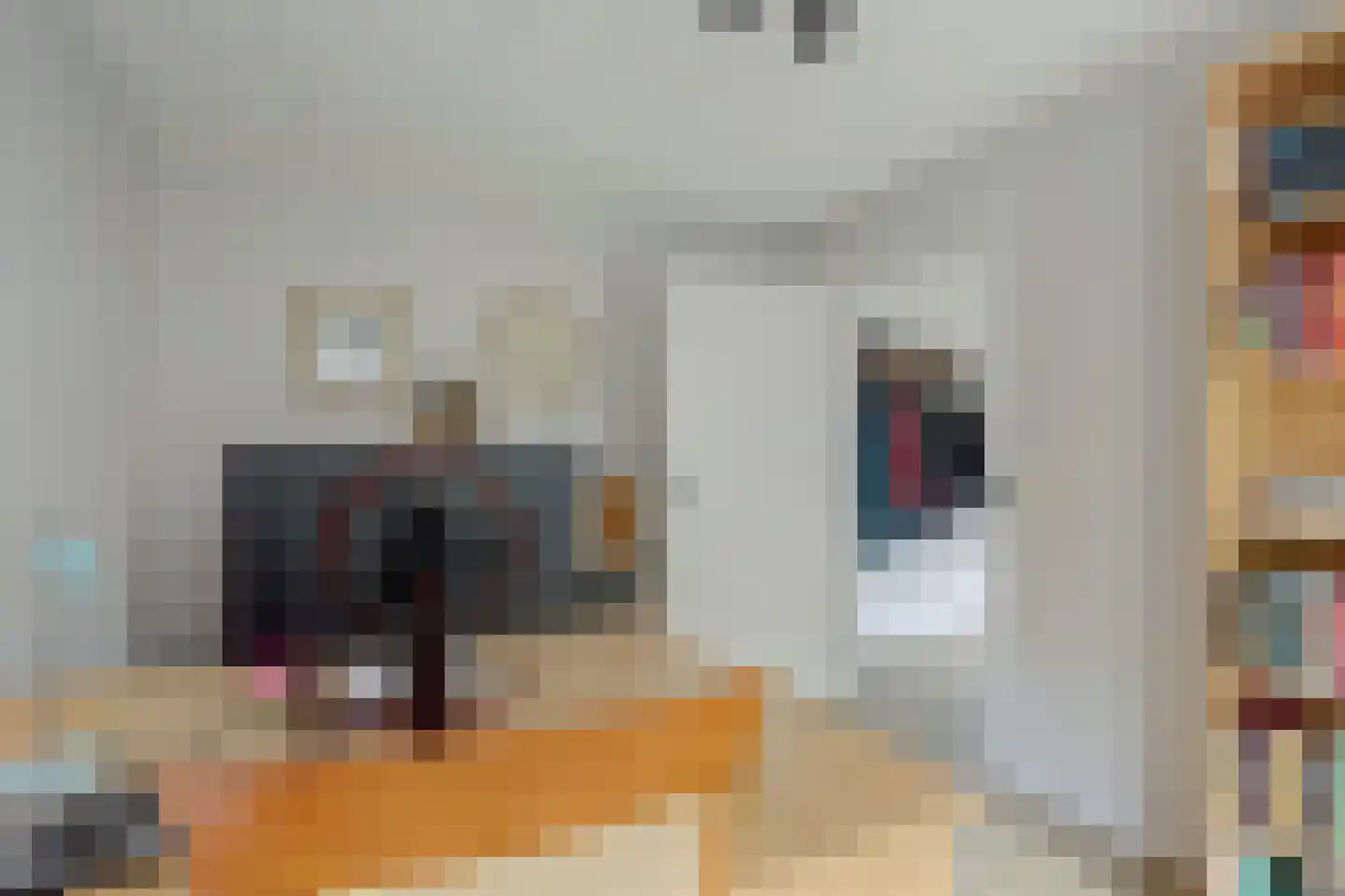 Twijnspil 69 Wierden thumbnail 7