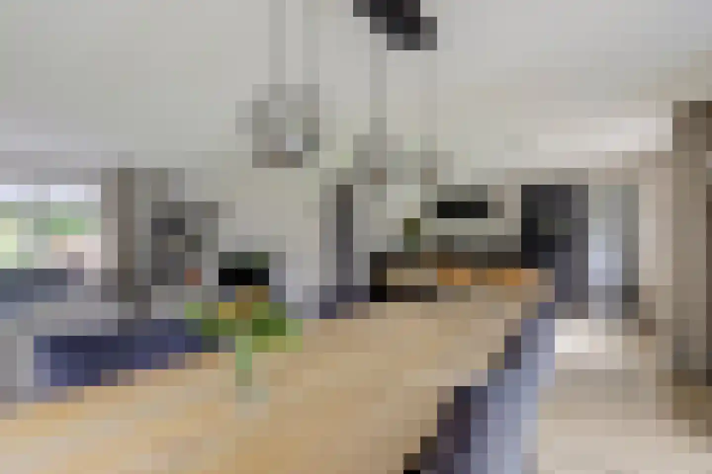 Twijnspil 69 Wierden thumbnail 9