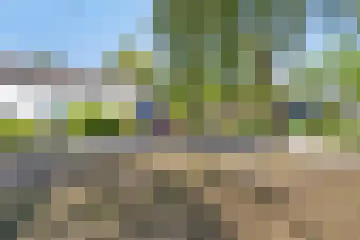 Twijnsterhof 50 Helmond thumbnail 28