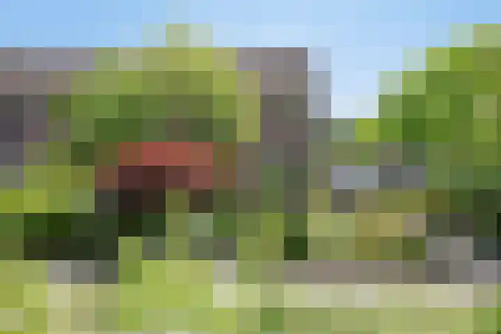 Twijnsterhof 50 Helmond thumbnail 29