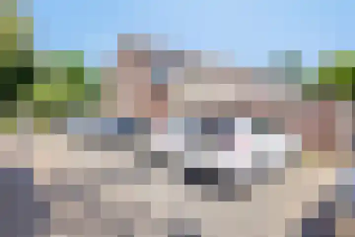 Twijnsterhof 50 Helmond thumbnail 32