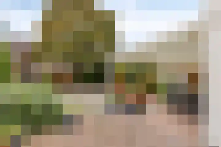 Twijnsterhof 82 Helmond thumbnail 26