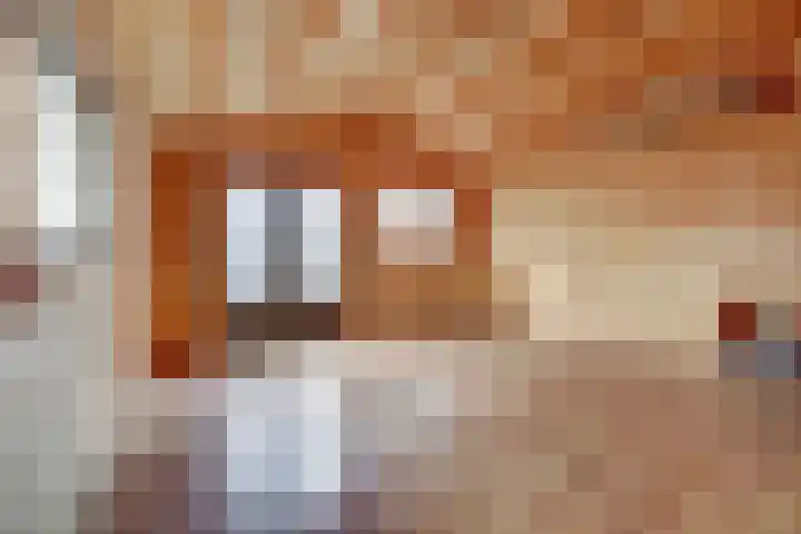 Twijnstop 29 Emmer-Compascuum thumbnail 25