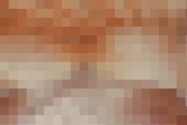 Twijnstop 29 Emmer-Compascuum thumbnail 26