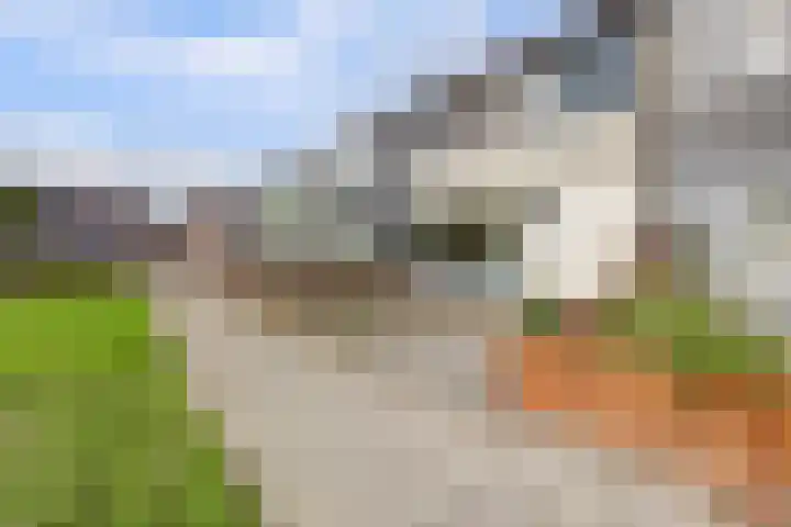 Twijnstop 29 Emmer-Compascuum thumbnail 27