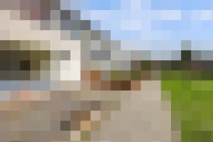 Twijnstop 29 Emmer-Compascuum thumbnail 28
