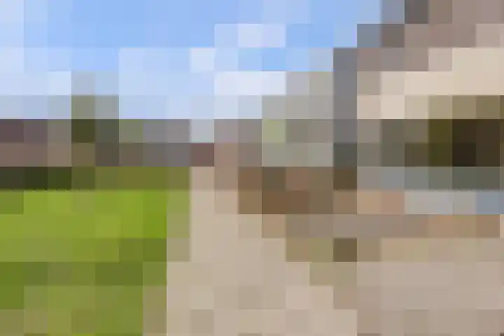 Twijnstop 29 Emmer-Compascuum thumbnail 29