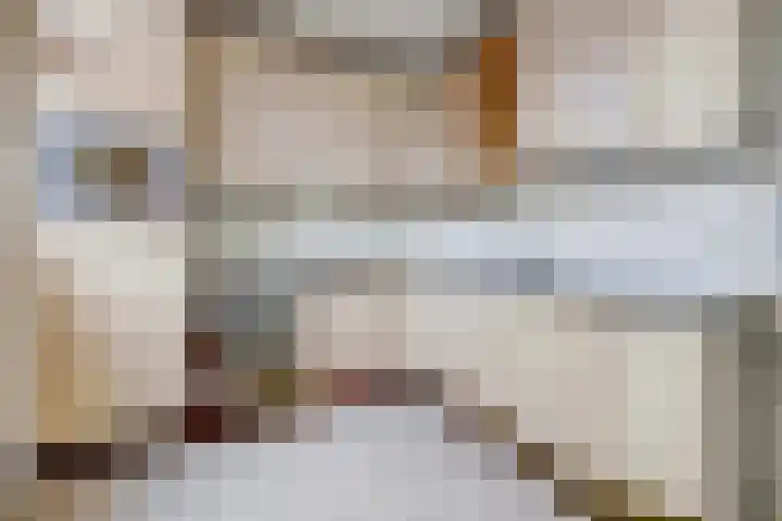 Twijnstop 29 Emmer-Compascuum thumbnail 6