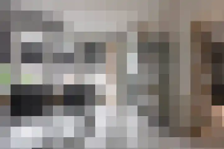Twijnstop 37 Emmer-Compascuum thumbnail 11