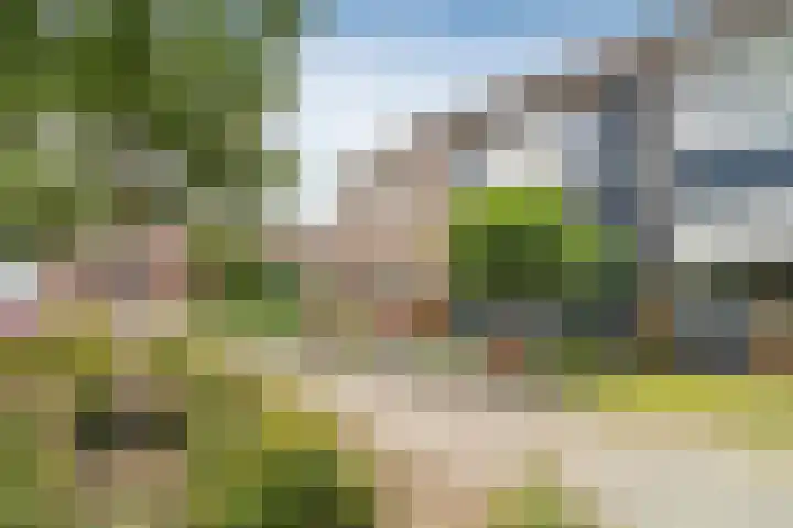 Twijnstop 37 Emmer-Compascuum thumbnail 27