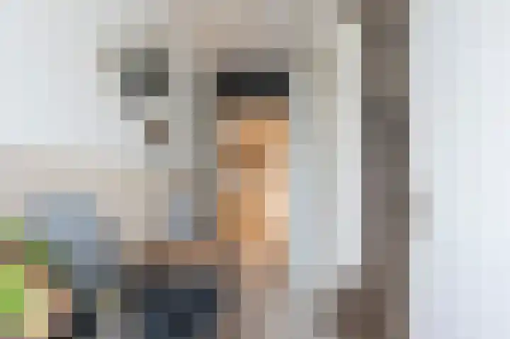 Twijnstop 37 Emmer-Compascuum thumbnail 5