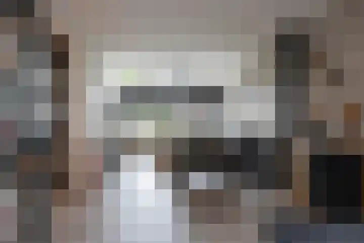 Twijnstop 37 Emmer-Compascuum thumbnail 6