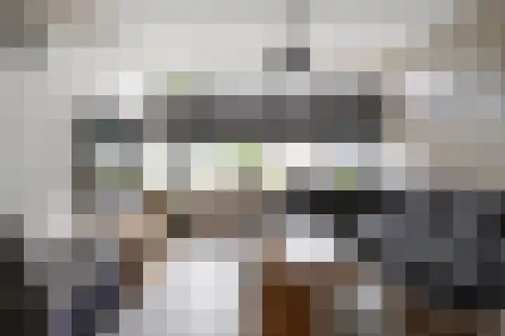Twijnstop 37 Emmer-Compascuum thumbnail 7