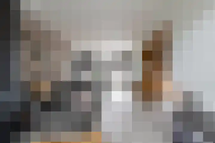 Twijnstop 37 Emmer-Compascuum thumbnail 8