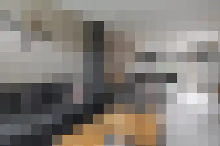 Twijnstop 37 Emmer-Compascuum thumbnail 9